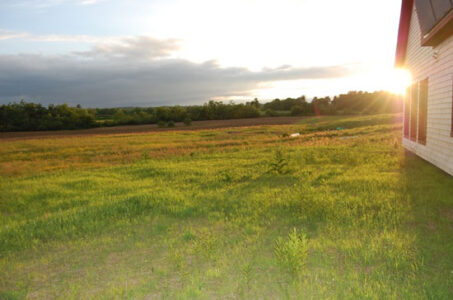 4 Tips for Living in High-Efficiency Homes Image